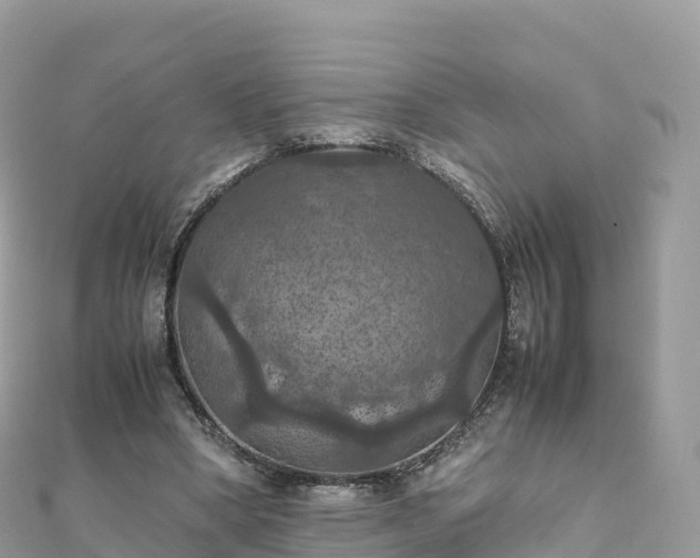 X0000111860394200907301136