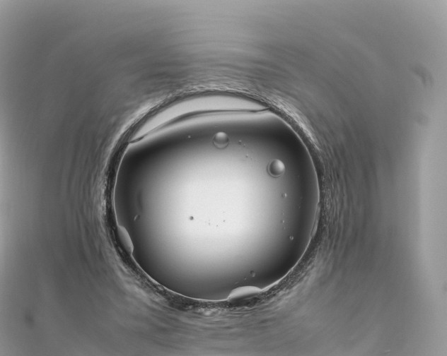 X0000111860395200907301136