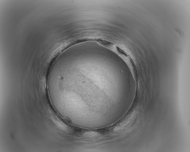 X0000111860397200907301136