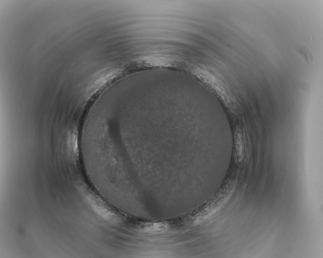 X0000111860398200907301136