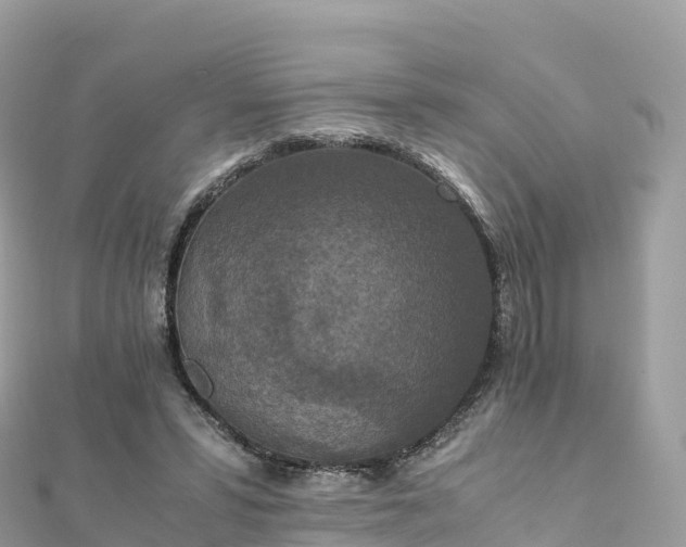 X0000111860399200907301136