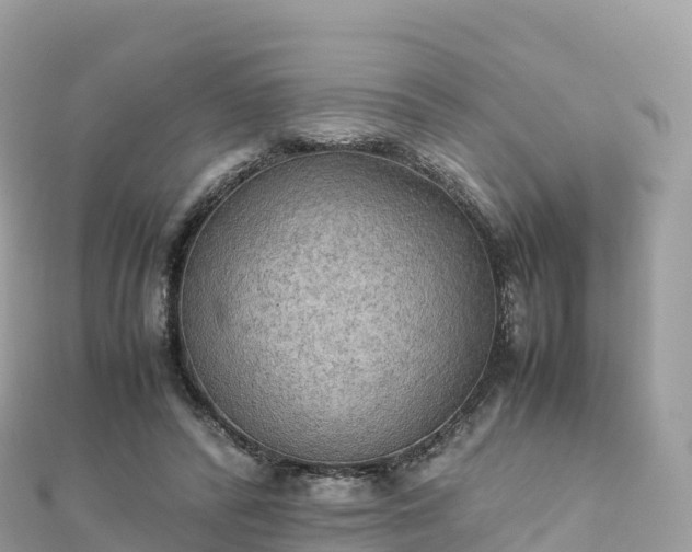 X0000111860400200907301136