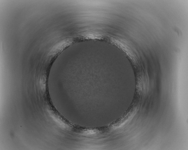 X0000111860402200907301136