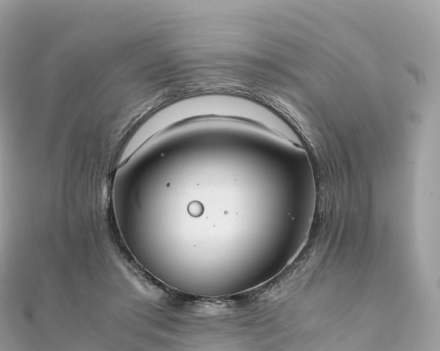 X0000111860405200907301136