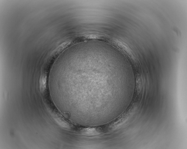 X0000111860406200907301136