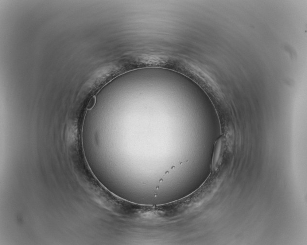 X0000111860407200907301136