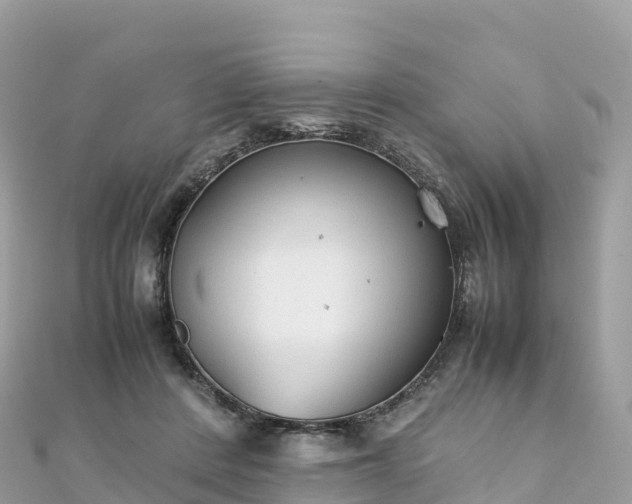 X0000111860408200907301136