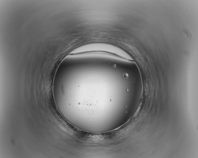 X0000111860409200907301136