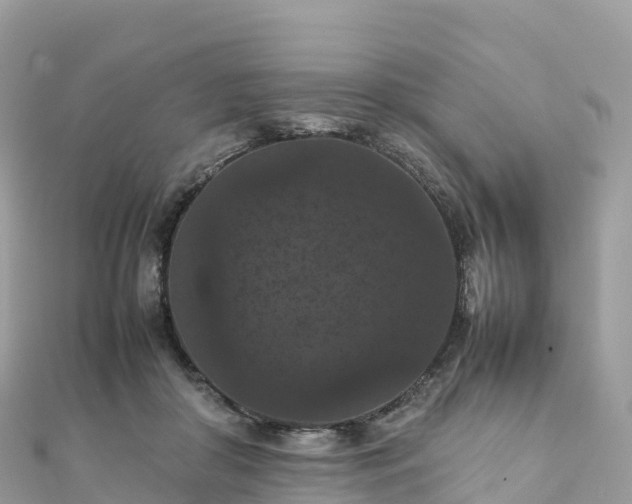 X0000111860410200907301136