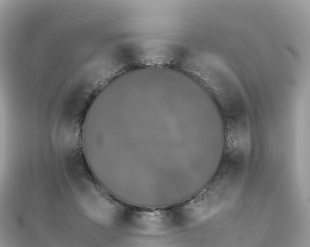 X0000111860411200907301136