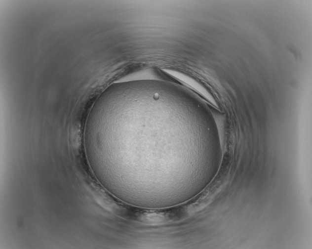 X0000111860413200907301136