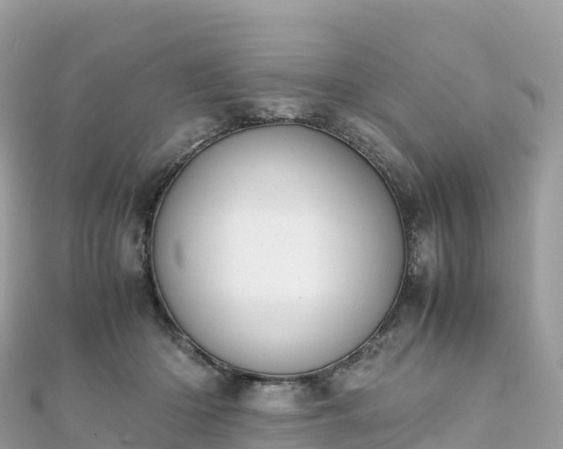 X0000111860414200907301136