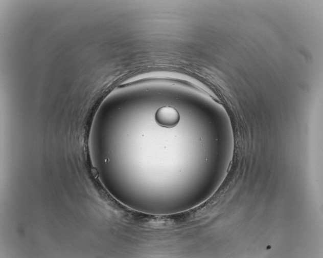 X0000111860415200907301135