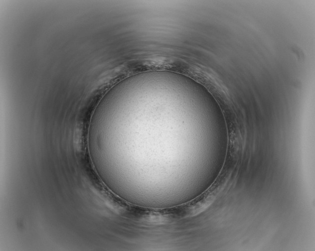 X0000111860416200907301135