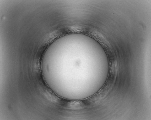 X0000111860418200907301135