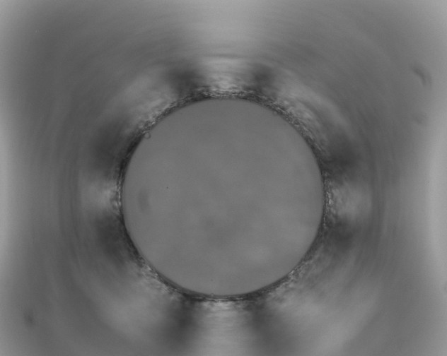 X0000111860419200907301135