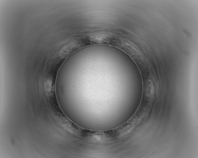 X0000111860420200907301135