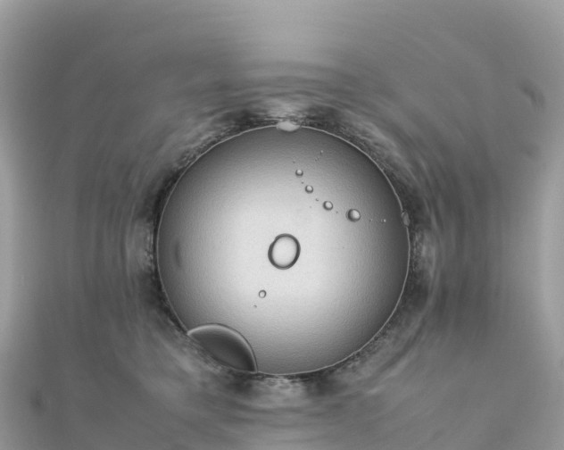 X0000111860421200907301135