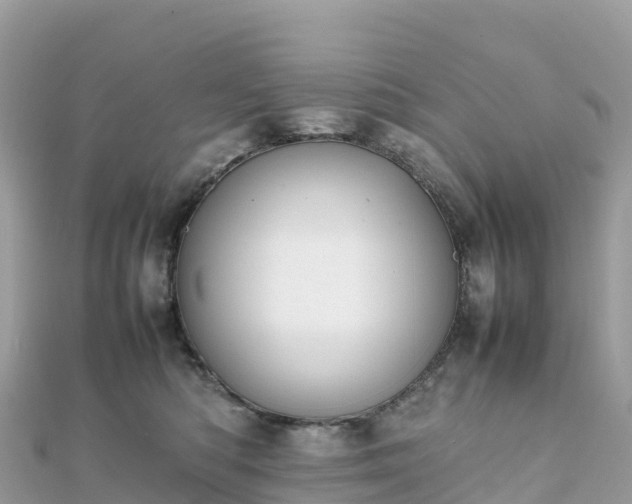 X0000111860422200907301135