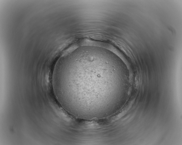 X0000111860424200907301135