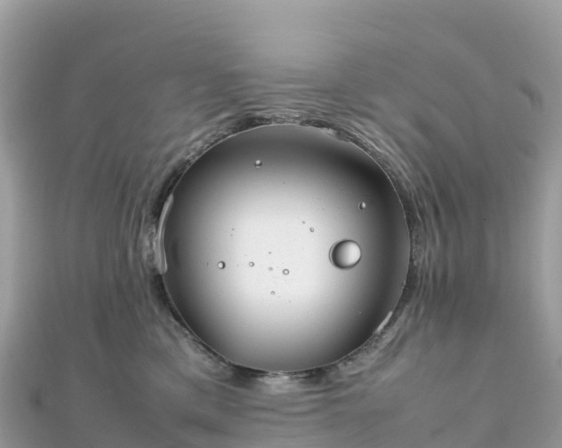 X0000111860425200907301135