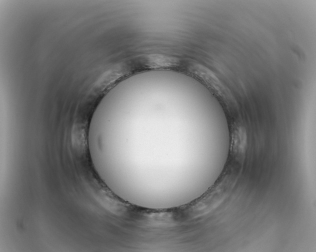 X0000111860426200907301135