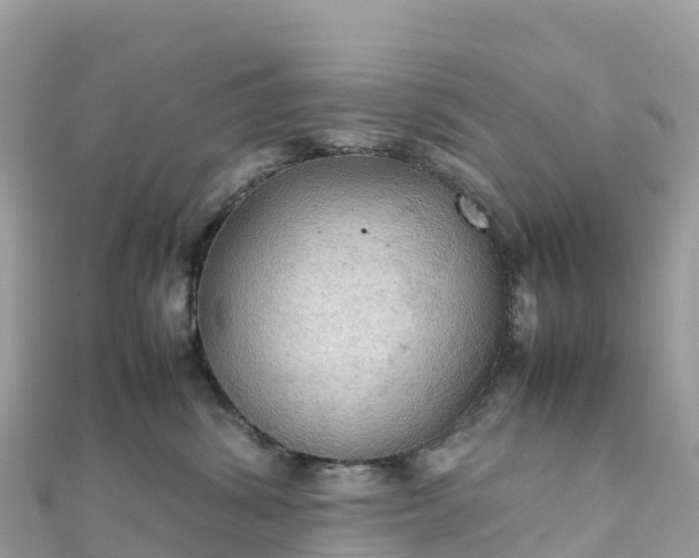 X0000111860428200907301135