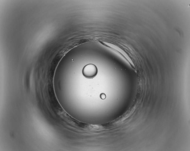 X0000111860429200907301135