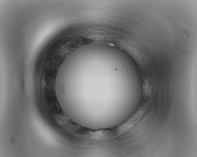 X0000111860430200907301135