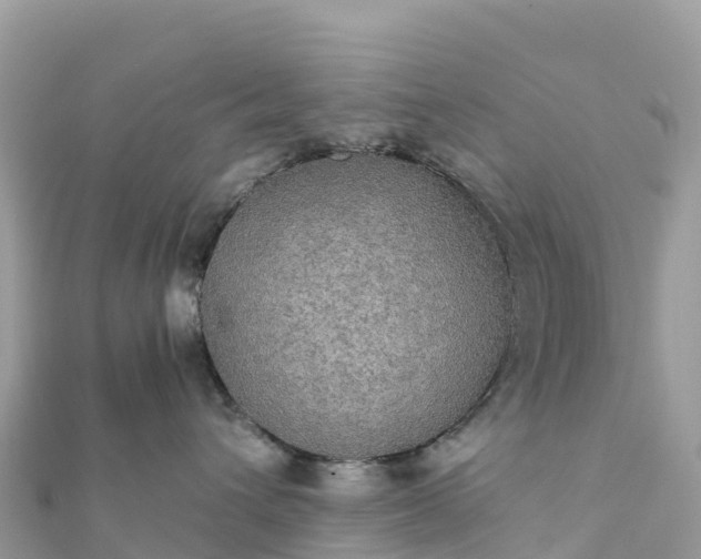 X0000111860432200907301135