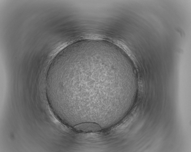 X0000111860433200907301135