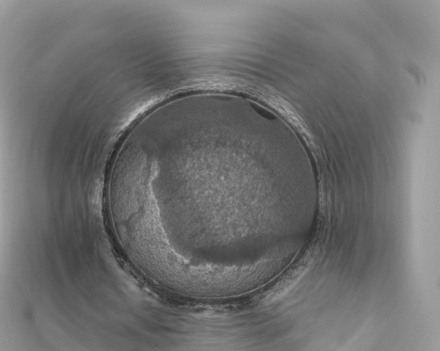 X0000111860434200907301135