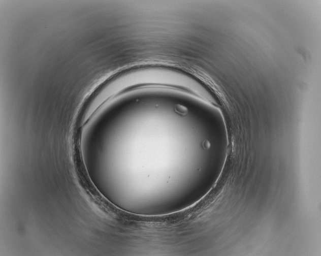 X0000111860436200907301135