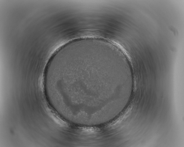 X0000111860439200907301135