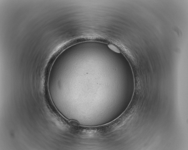 X0000111860440200907301135