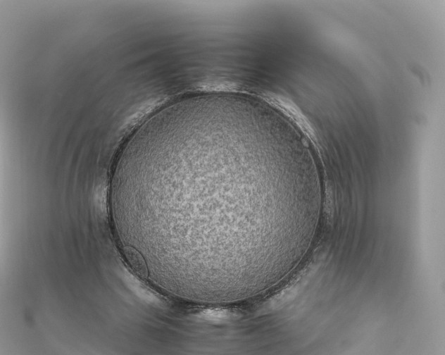 X0000111860441200907301135