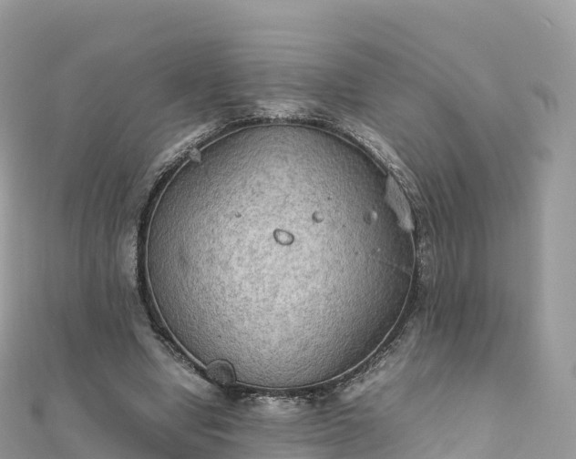 X0000111860442200907301135