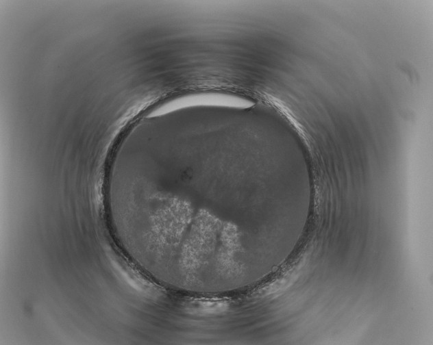 X0000111860443200907301135