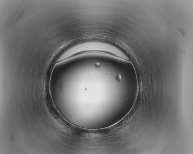 X0000111860444200907301135