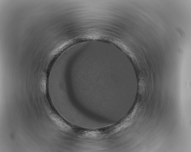 X0000111860446200907301135