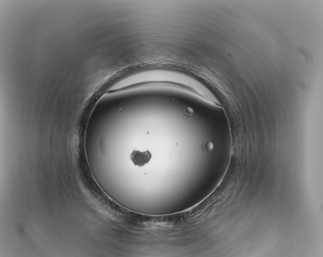 X0000111860448200907301135