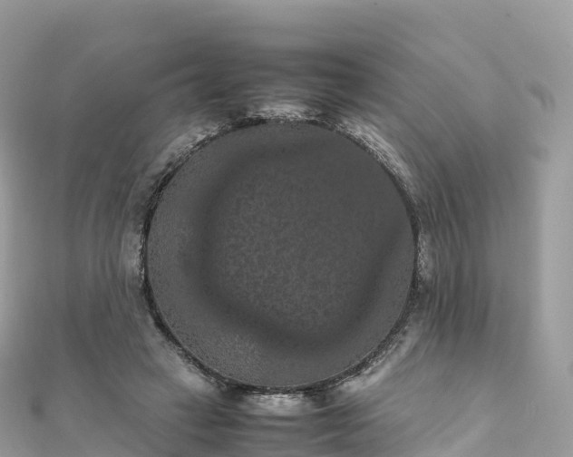 X0000111860449200907301135