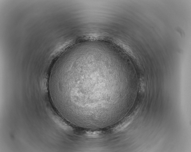 X0000111860450200907301135