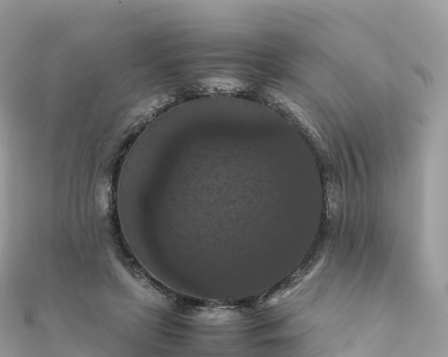 X0000111860451200907301135