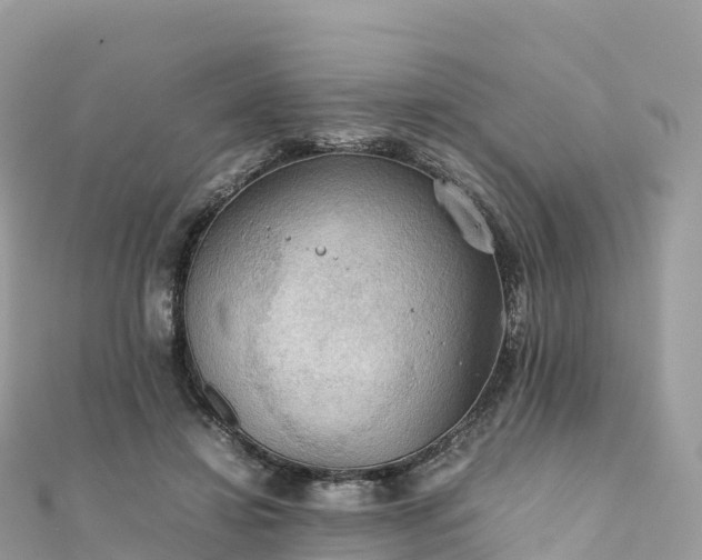 X0000111860452200907301135