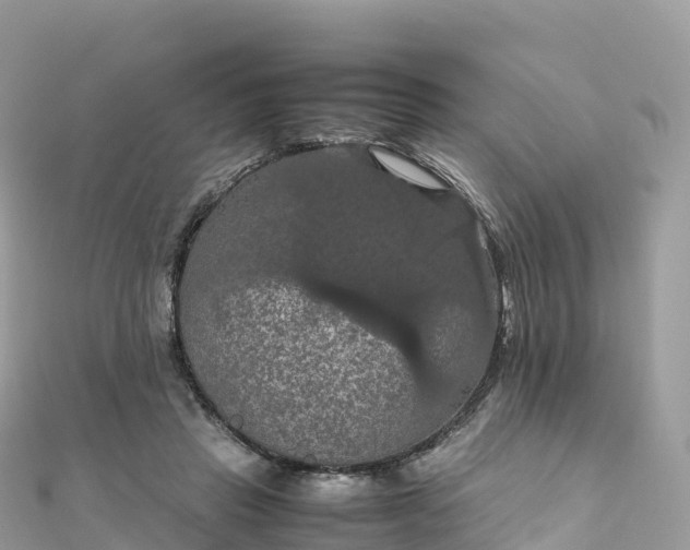 X0000111860453200907301135