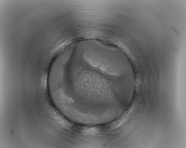 X0000111860454200907301135