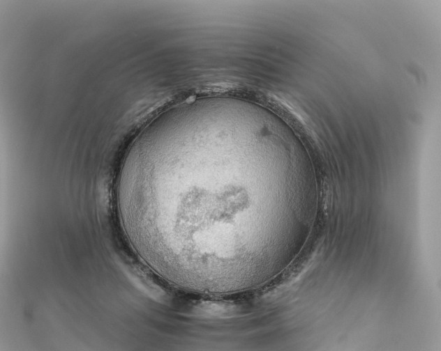 X0000111860455200907301135