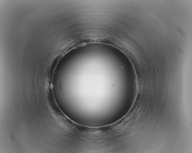 X0000111860456200907301135