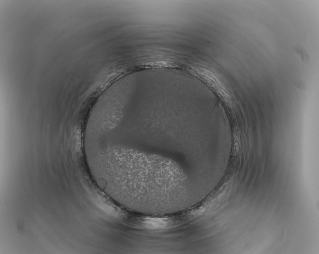 X0000111860457200907301135